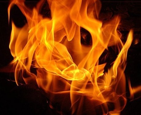 Camil Devine onlyfans hot