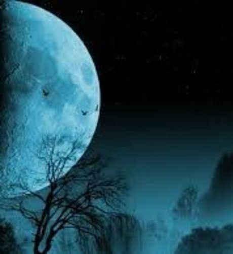 NightGod772 onlyfans naked