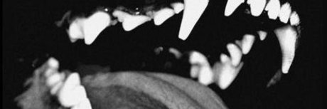 Diabloodon onlyfans leaks