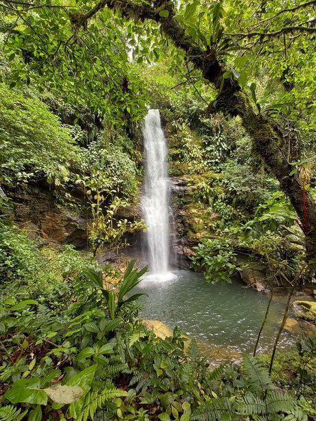 Darkcary leak onlyfans porn