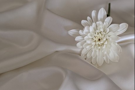 Aisha Love onlyfans hot