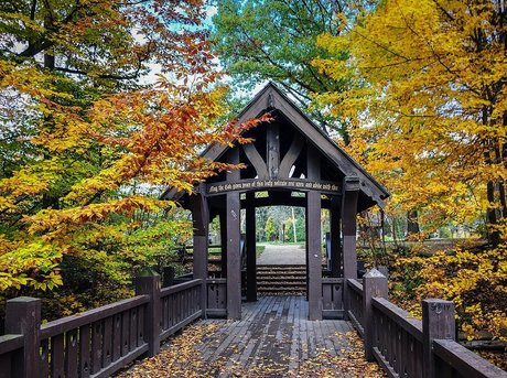 Alyx Cadence onlyfans leaked nudes