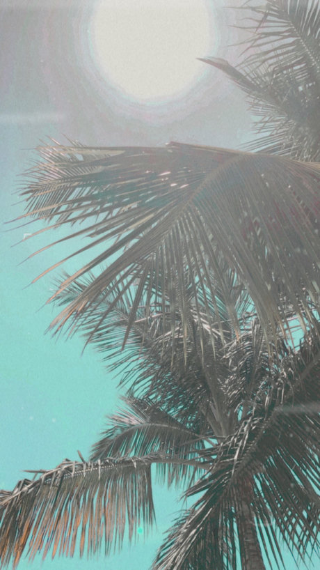 ninaalexander17 onlyfans model