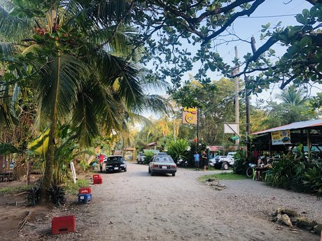 Niklaus onlyfans free porn