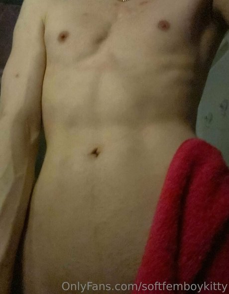 softfemboykitty onlyfans leaks sex