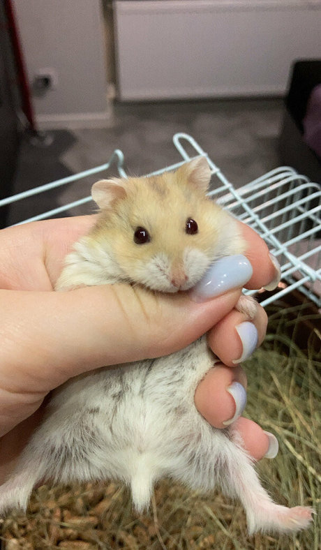 moon less Profile image