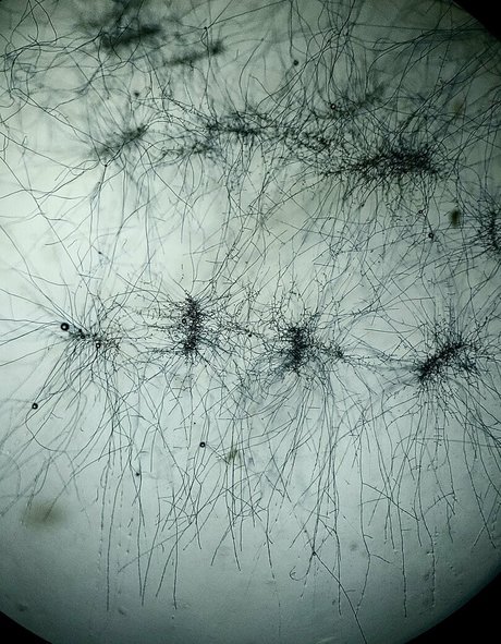 freesexypsychedelic onlyfans leaked photos