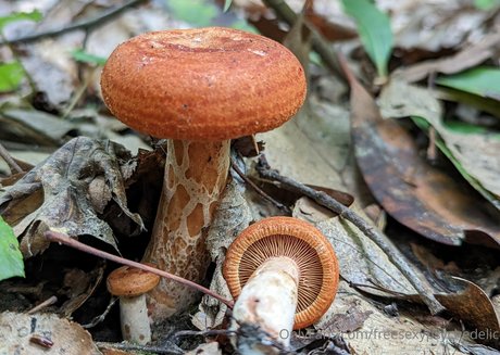 freesexypsychedelic nude onlyfans