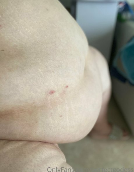 black shemale onlyfans pornographic candids