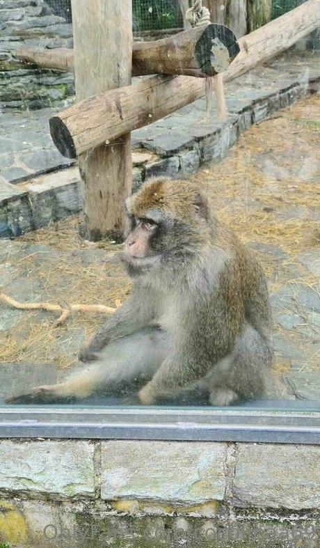 cocolinaa69 leaked onlyfans photos