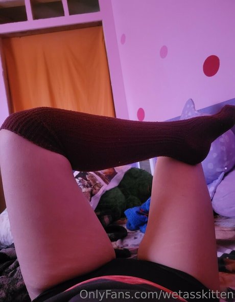 wetasskitten onlyfans nude leaked