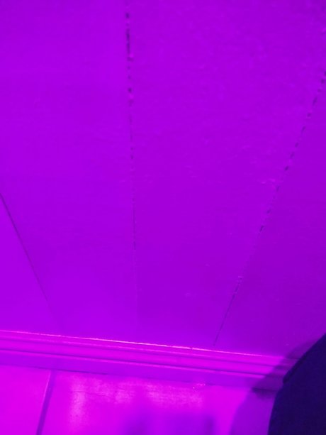 GhostBoy onlyfans nude tits