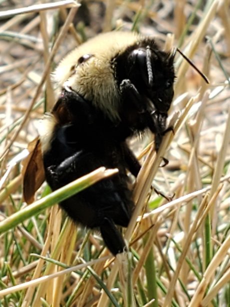 Afluffybunny99 leaked onlyfans sextape