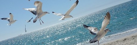 Aneth michel sextape onlyfans