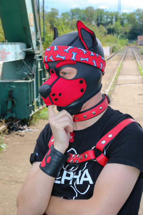 Skylar the cute Puppy nsfw onlyfans