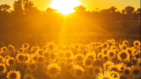 Oh Miya xxx_ onlyfans public photos