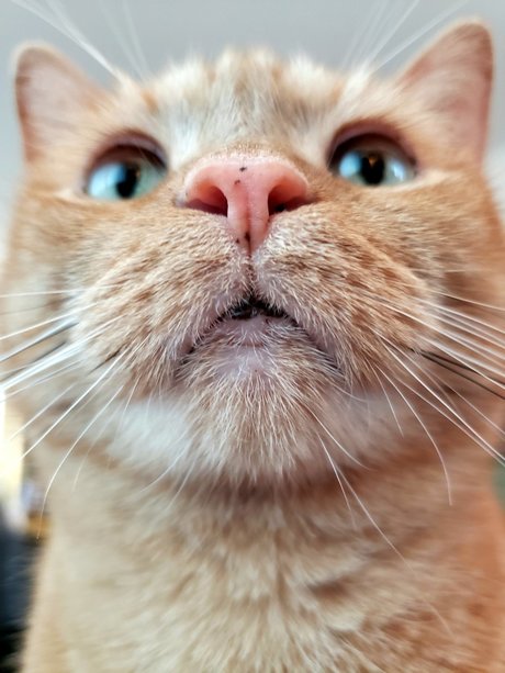 onlytabs onlyfans leaked xxx