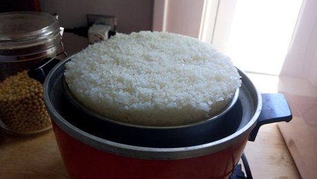 OnlyFeesh sexy onlyfans