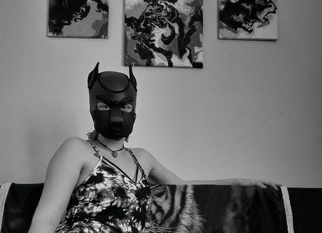 OneStretchyPup onlyfans leaks porn