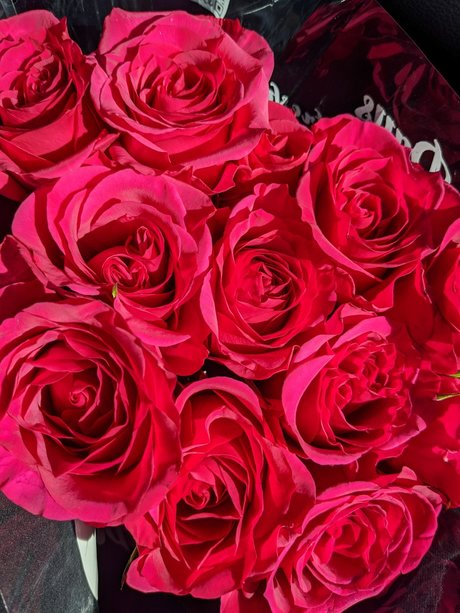 Alitalia Cass onlyfans leaka