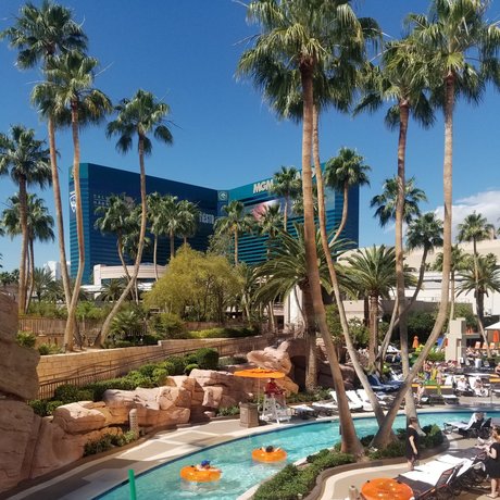 Mr Rose City_ leak onlyfans