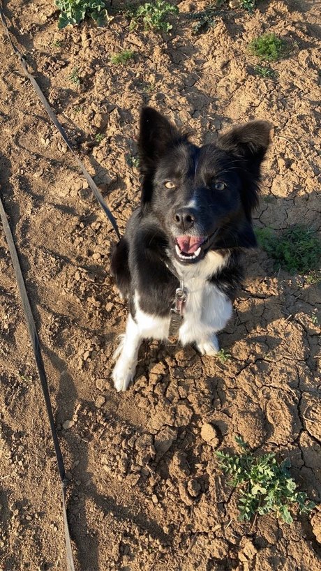 black granny onlyfans pretty print