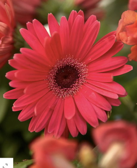 Paige Marks onlyfans content type