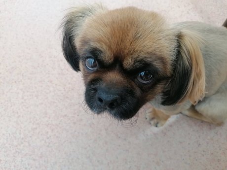 Sugar Addict free onlyfans porn