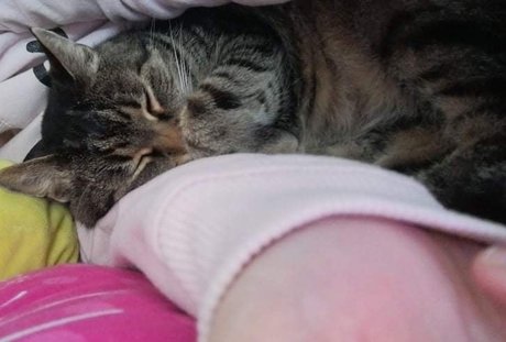 Sugar Addict onlyfans explicit content