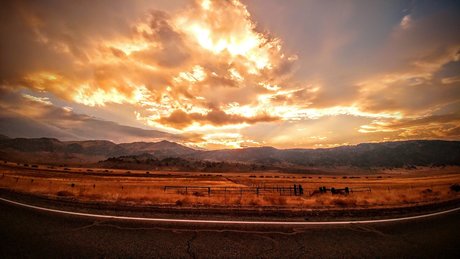 Peach blossom porn onlyfans leaks