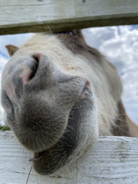 DaddyLongLegz only fans naked