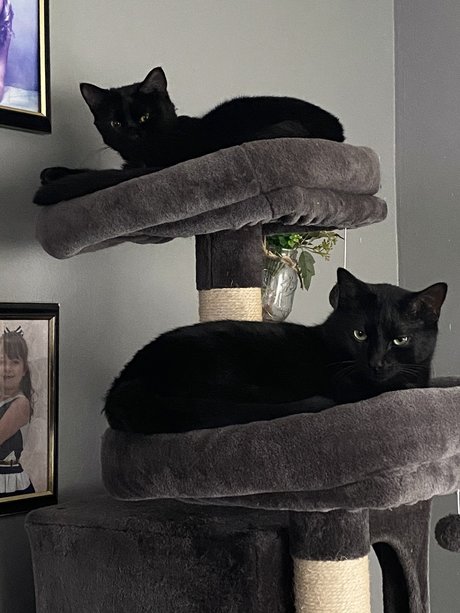 Amber Amos leaked porn onlyfans