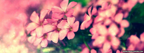 cutie pie leaked only fans nudes