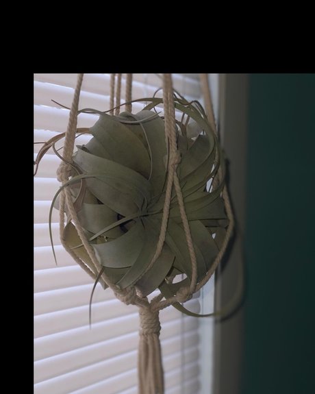 _Lauren onlyfans free porn