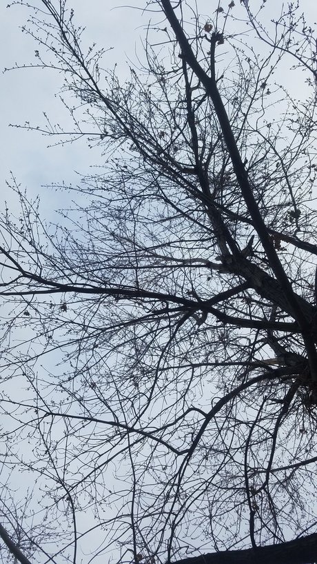 Daddy s Little Witch naked onlyfans leaked