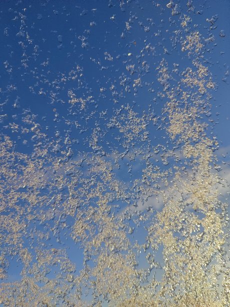 Potatis onlyfans sexy