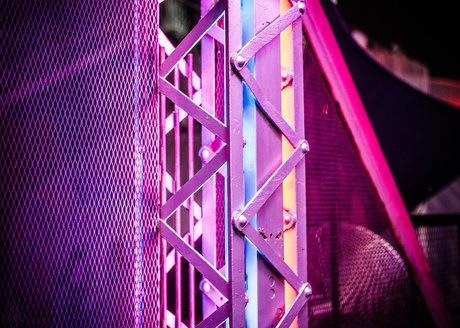 Polar Bear en onlyfans