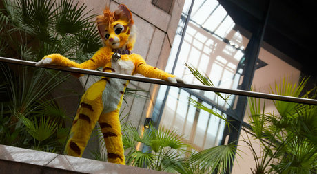 thatyellowkitty nude on onlyfans