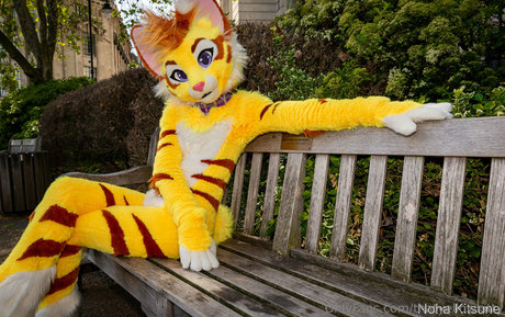 thatyellowkitty onlyfans leaked dirtyship