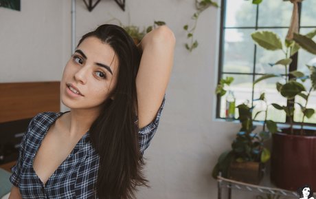 Mercurymei  snapshot