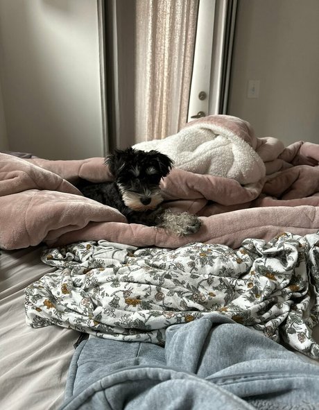 lil ann3frank onlyfans leaks porn