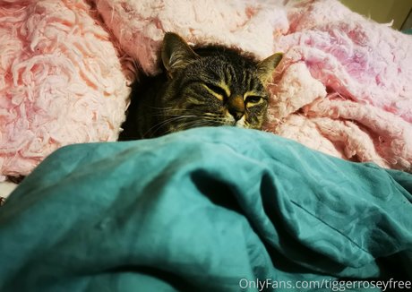 threesome amateur onlyfans hot nude shots