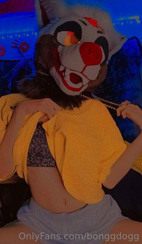 Bonggdogg onlyfans nude