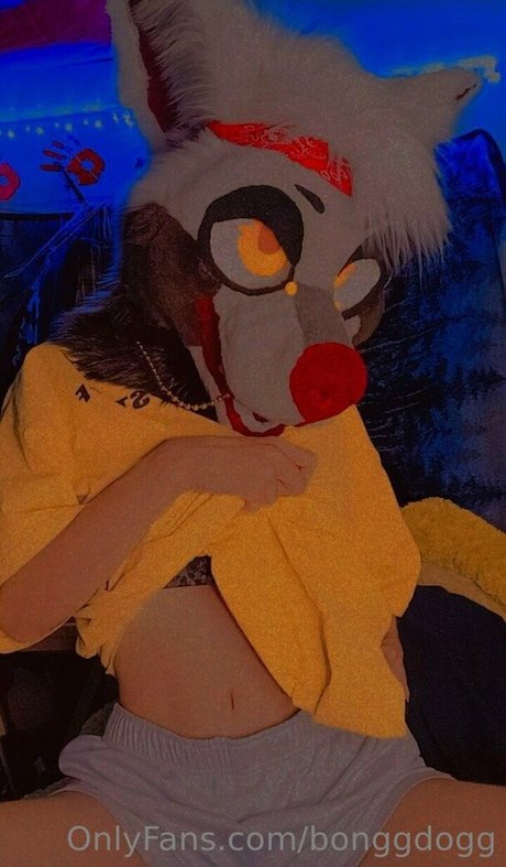 Bonggdogg onlyfans nide