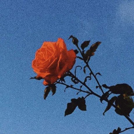 Princess Bitchass onlyfans leaka