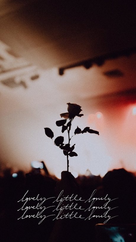 black tranny onlyfans free nude galleries