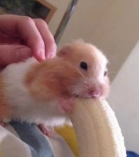 Dentari nudes onlyfans leaks