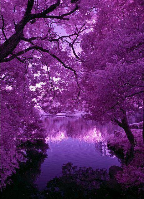 Prince Mikail onlyfans archives