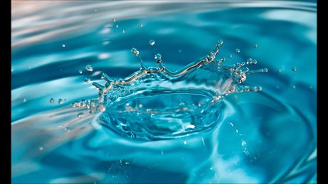 Miss Drip  galleries