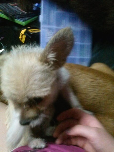 _Miss M rder_ porn onlyfans